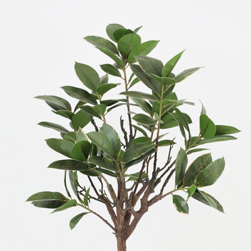 ラバーツリー フェイクグリーン [116]