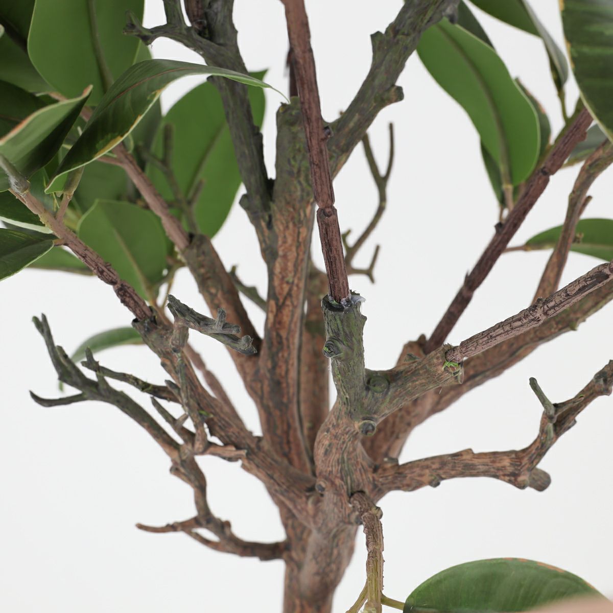 ラバーツリー フェイクグリーン [116]