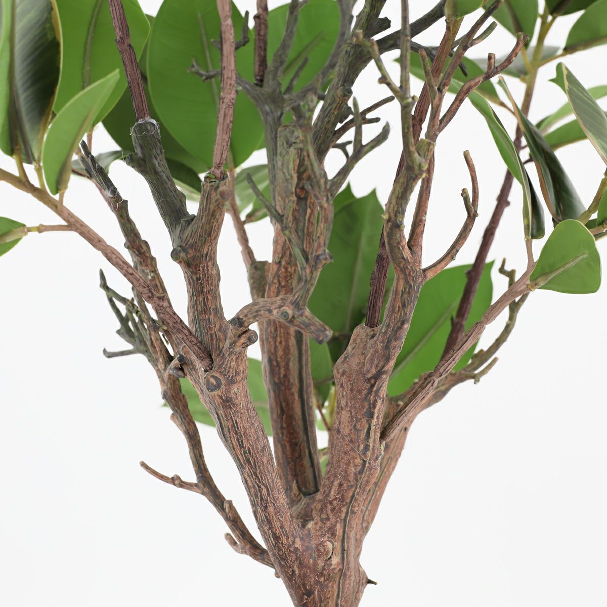 ラバーツリー フェイクグリーン [116]