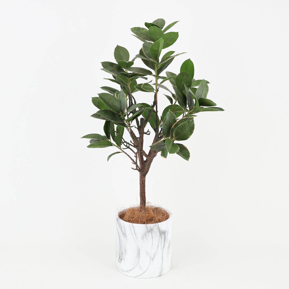 ラバーツリー フェイクグリーン [116]