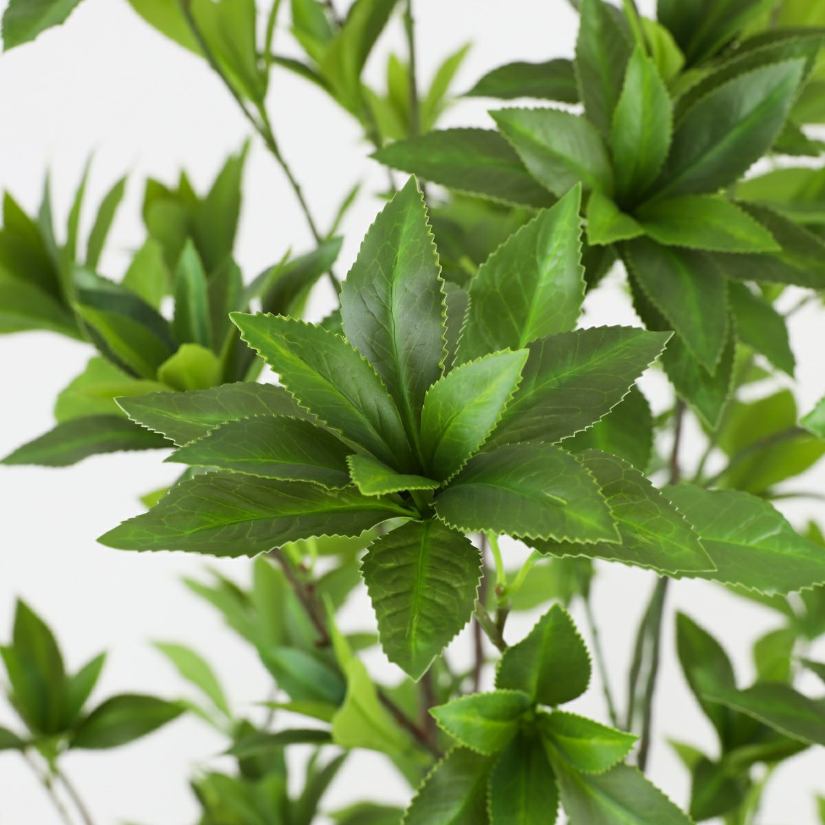 アセビ フェイクグリーン [118]