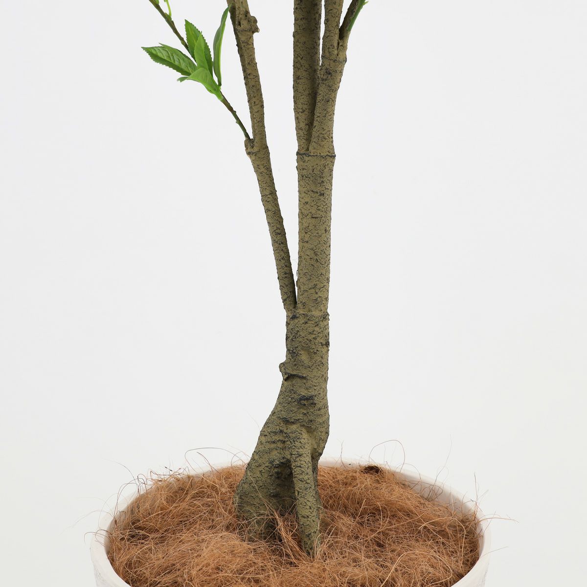 アセビ フェイクグリーン [118]