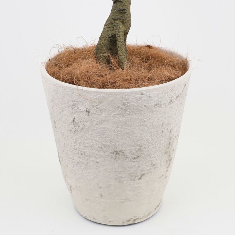 アセビ フェイクグリーン [118]