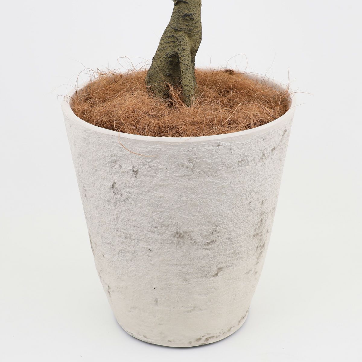 アセビ フェイクグリーン [118]