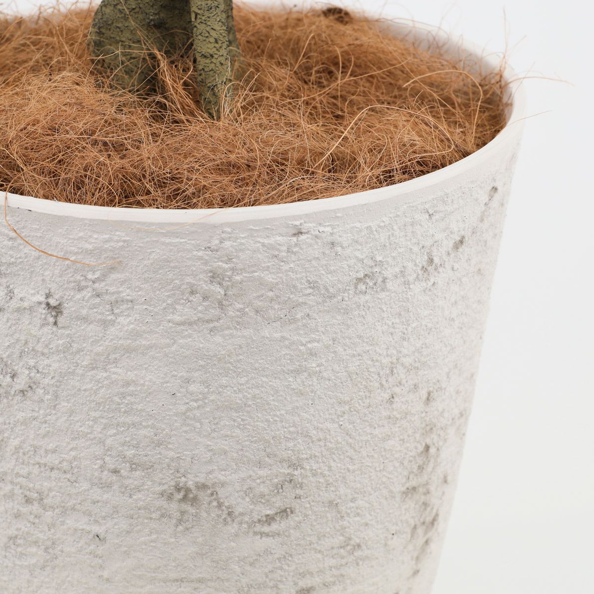 アセビ フェイクグリーン [118]