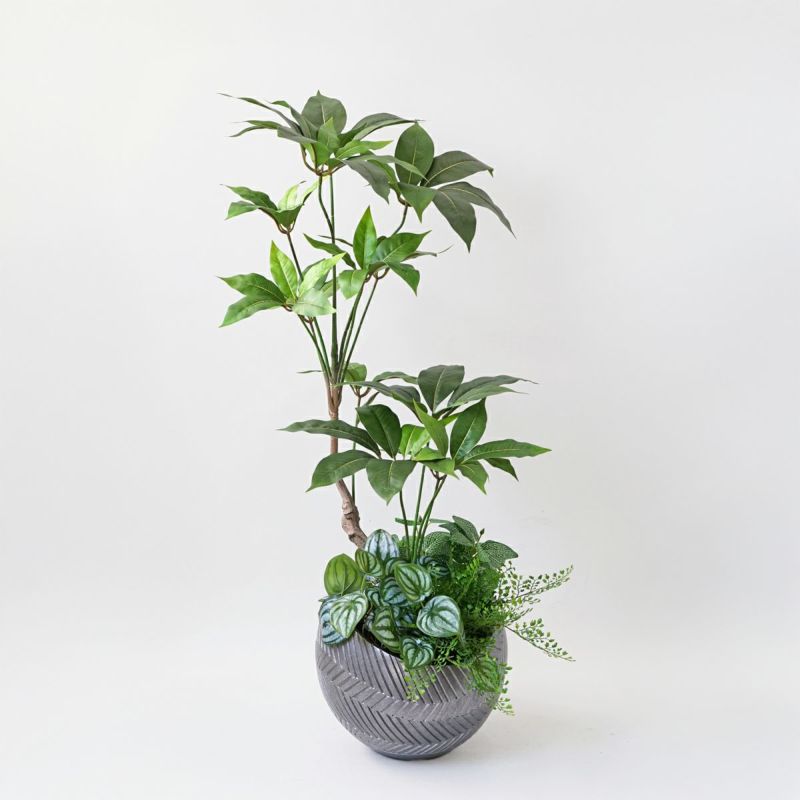 寄せ植え ツピタンサス フェイクグリーン [P-22]