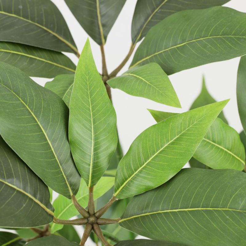 寄せ植え ツピタンサス フェイクグリーン [P-22]