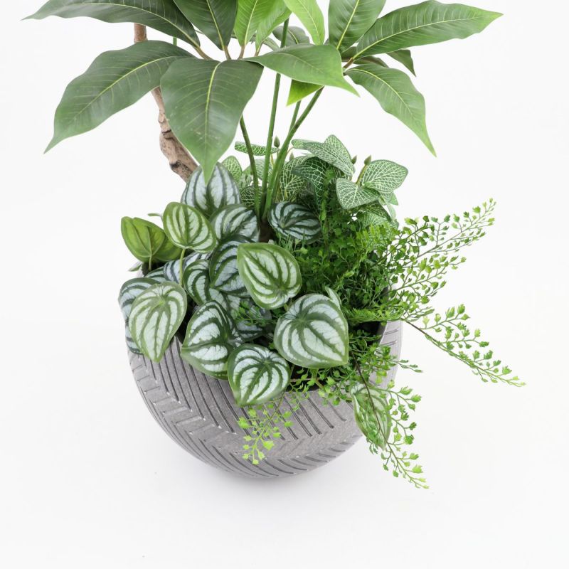 寄せ植え ツピタンサス フェイクグリーン [P-22]