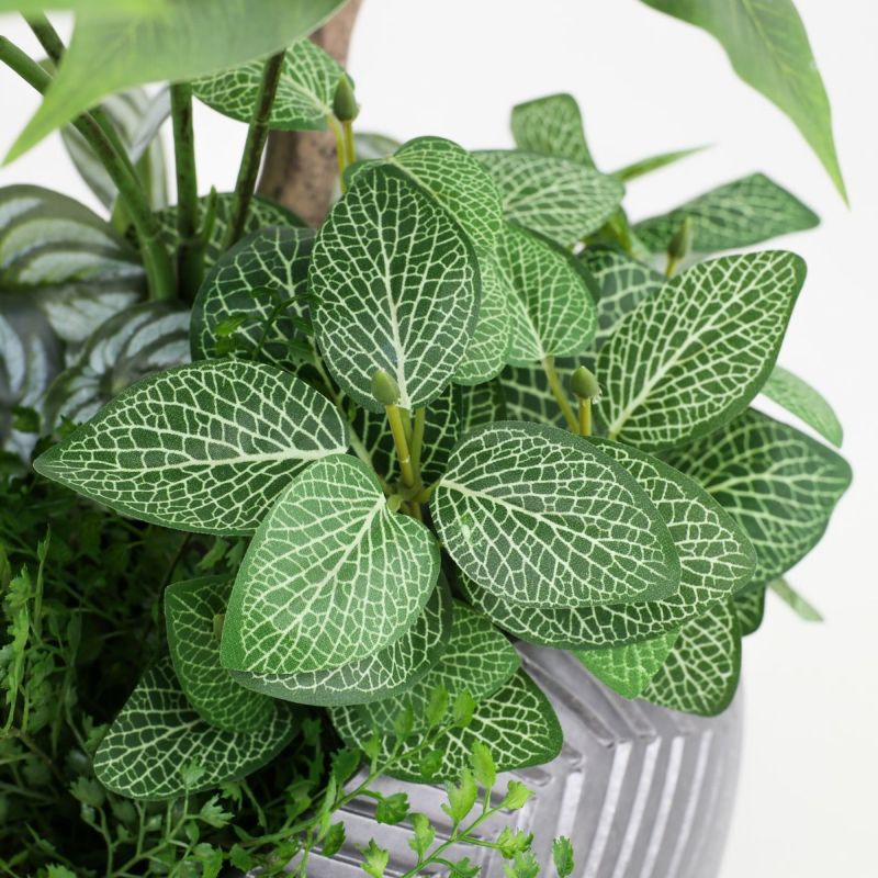 寄せ植え ツピタンサス フェイクグリーン [P-22]