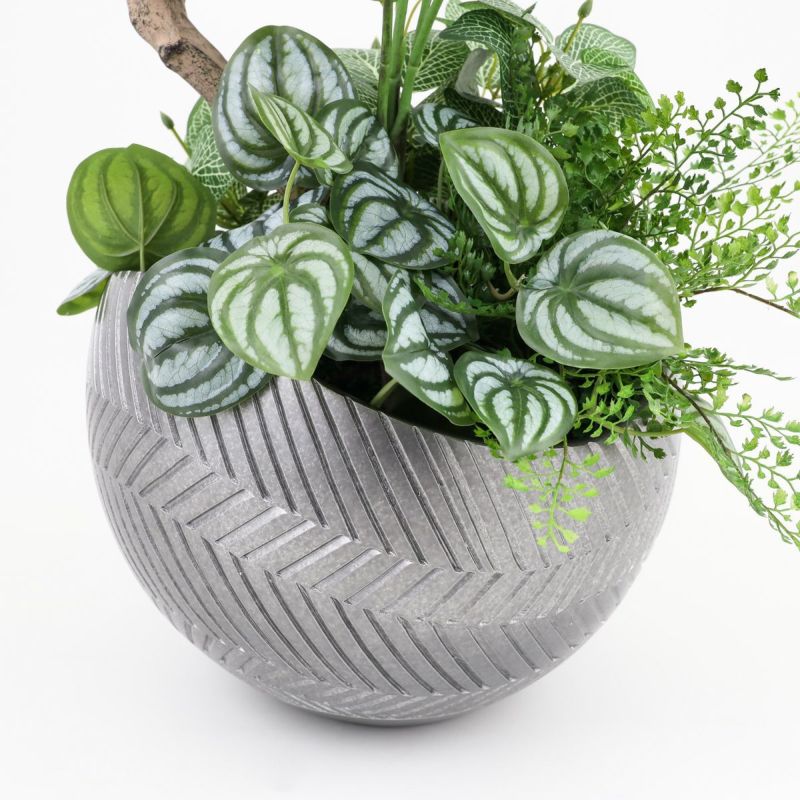 寄せ植え ツピタンサス フェイクグリーン [P-22]