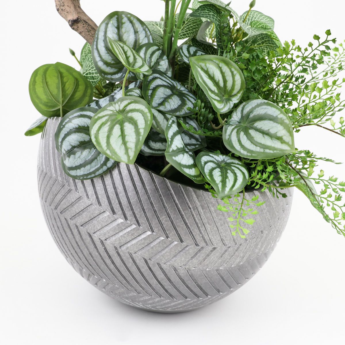 寄せ植え ツピタンサス フェイクグリーン [P-22]