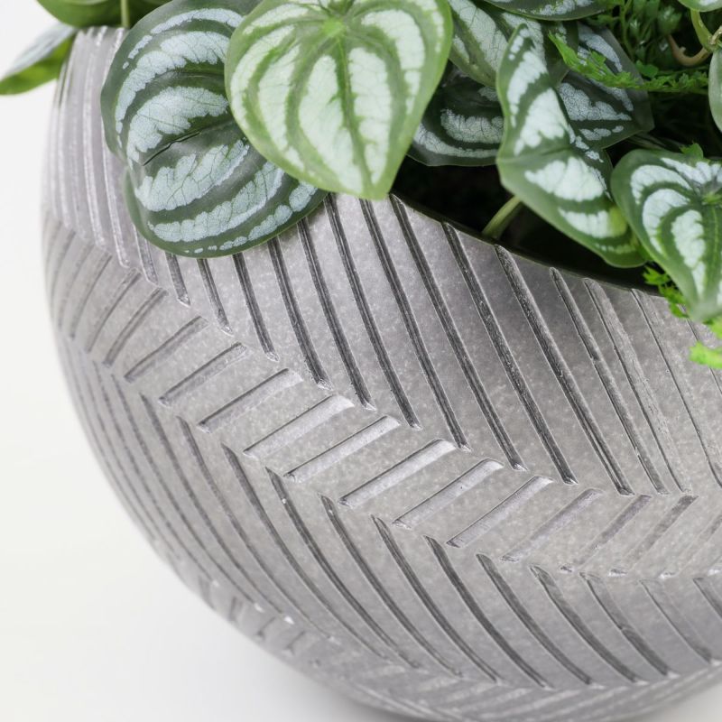 寄せ植え ツピタンサス フェイクグリーン [P-22]