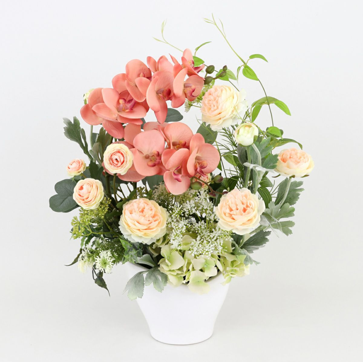 胡蝶蘭 ラナンキュラス アレンジメント [WEB504A]