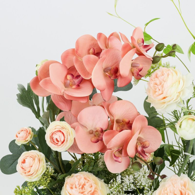 胡蝶蘭 ラナンキュラス アレンジメント [WEB504A]