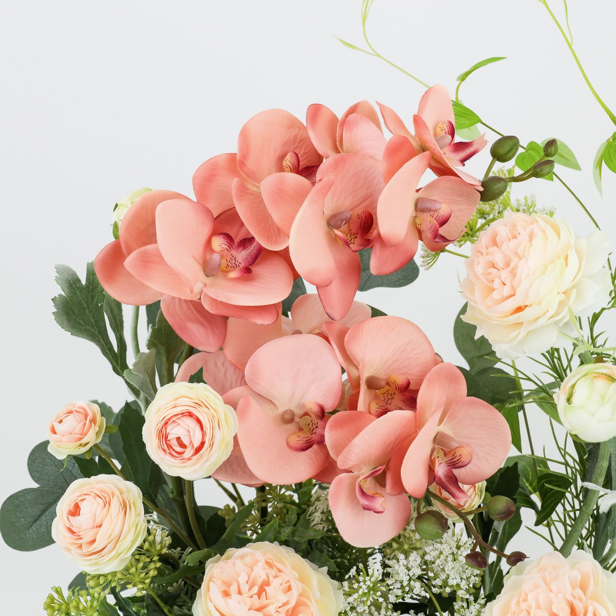 胡蝶蘭 ラナンキュラス アレンジメント [WEB504A]