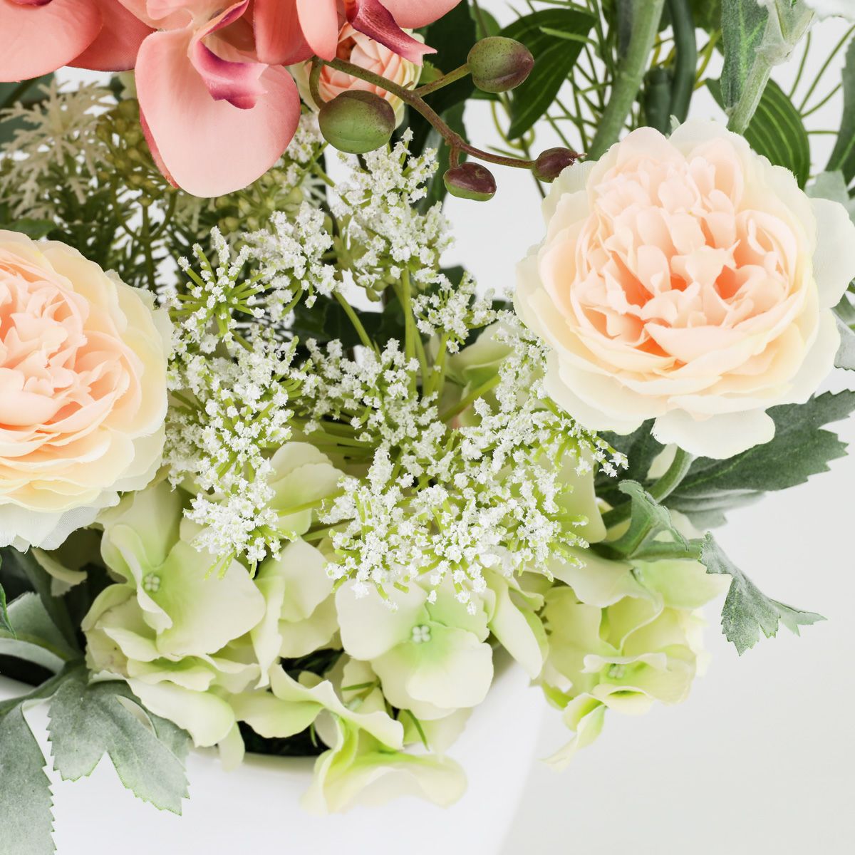 胡蝶蘭 ラナンキュラス アレンジメント [WEB504A]