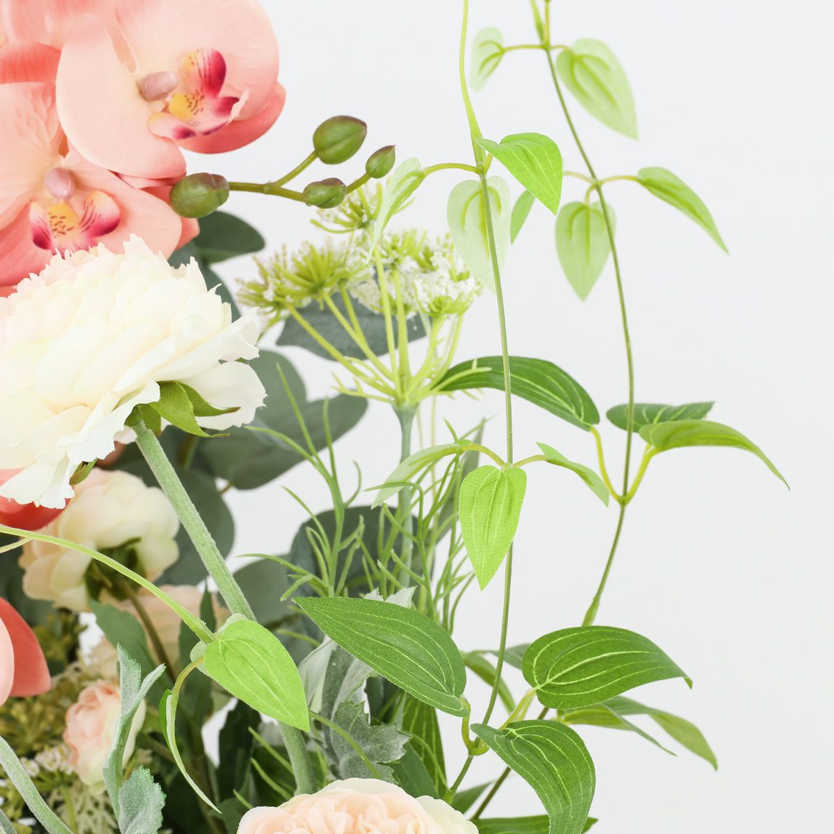 胡蝶蘭 ラナンキュラス アレンジメント [WEB504A]