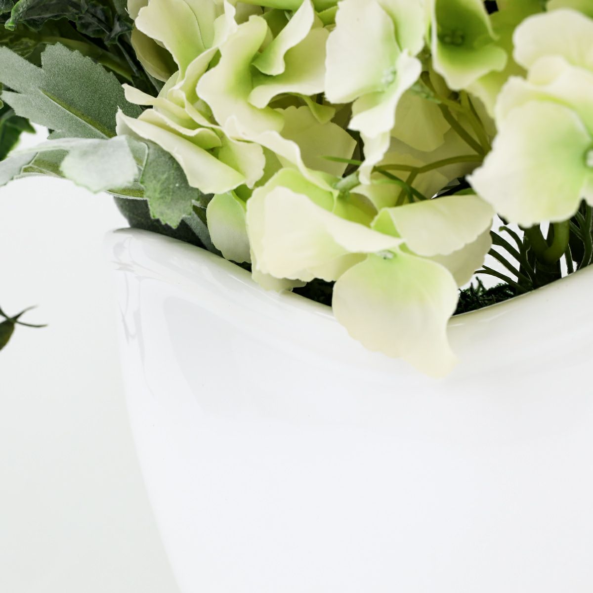 胡蝶蘭 ラナンキュラス アレンジメント [WEB504A]