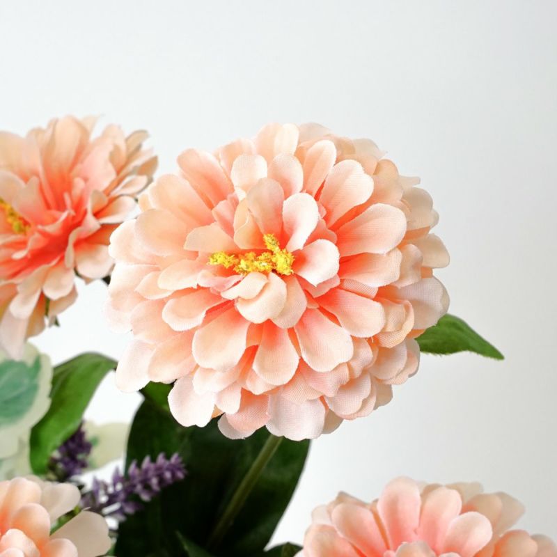 オンライン限定》 6月のブーケ ラナンキュラス＆ジニア [WEB563]