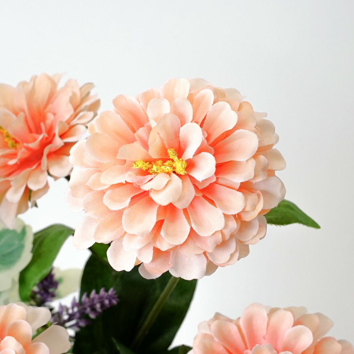 オンライン限定》 6月のブーケ ラナンキュラス＆ジニア [WEB563]