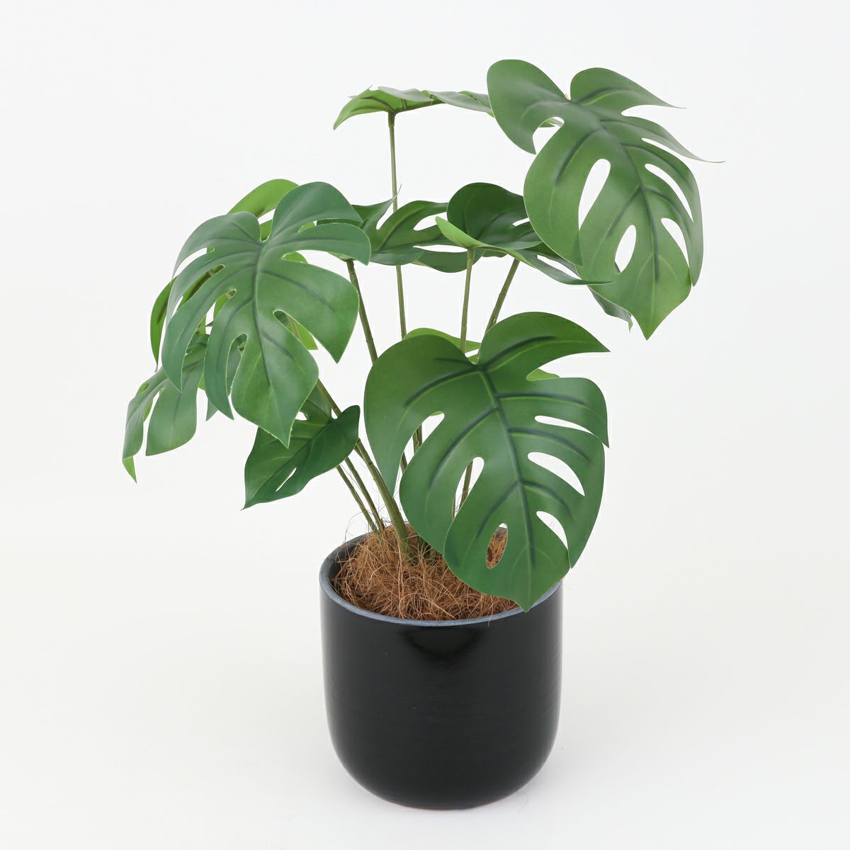 モンステラポット フェイクグリーン [93B]