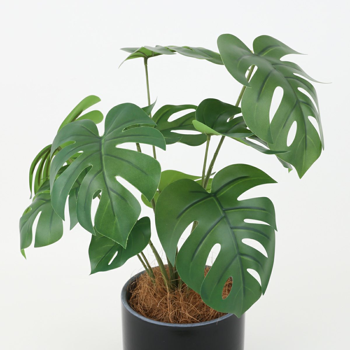 モンステラポット フェイクグリーン [93B]