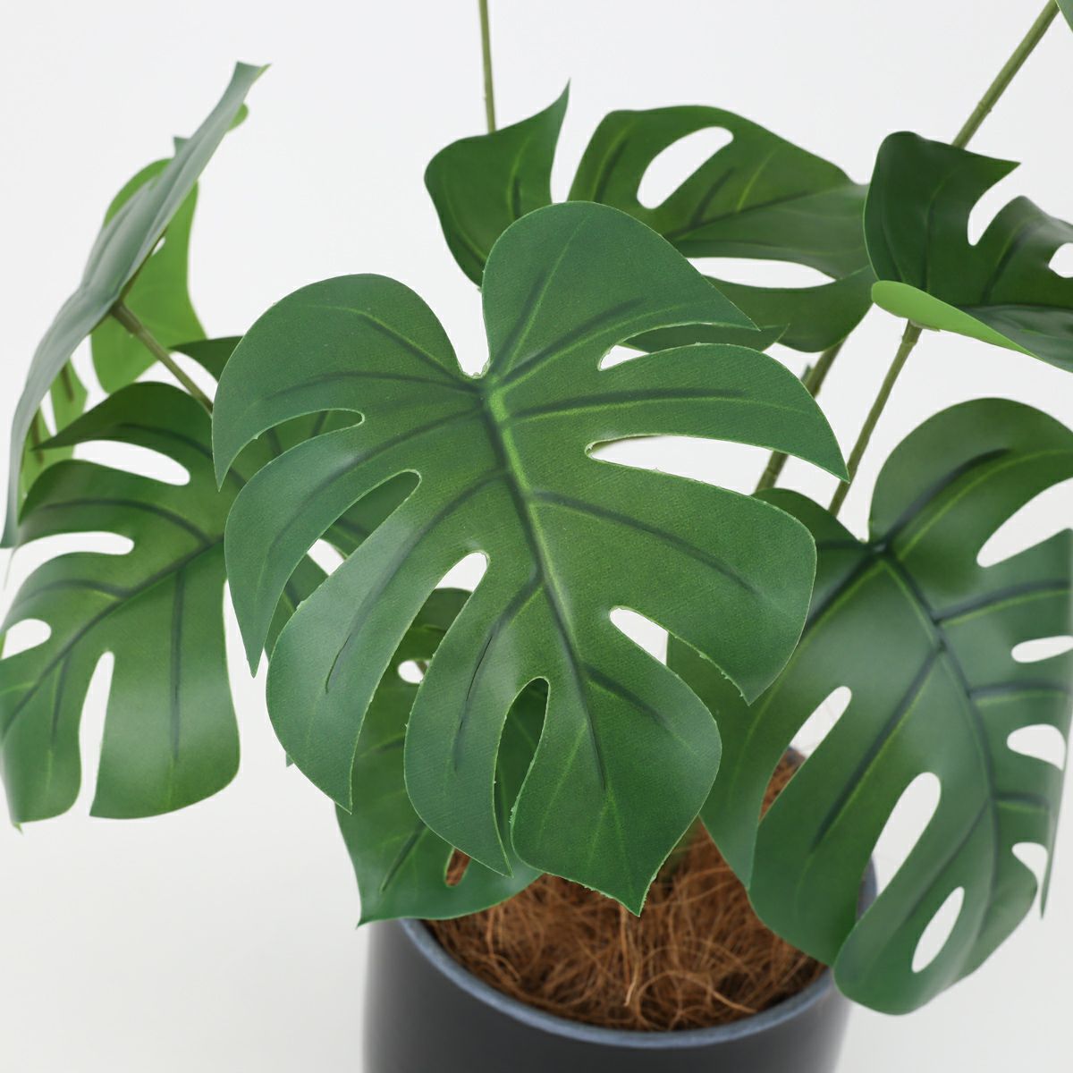 モンステラポット フェイクグリーン [93B]