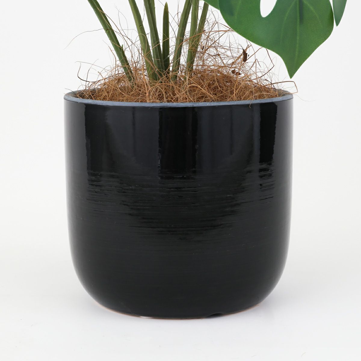 モンステラポット フェイクグリーン [93B]