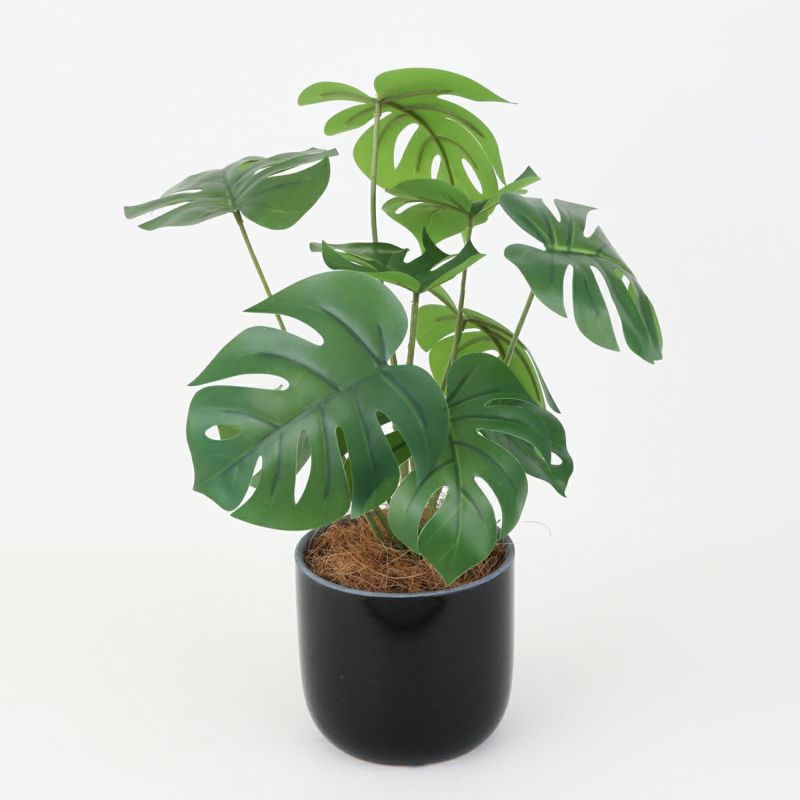 モンステラポット フェイクグリーン [93B]