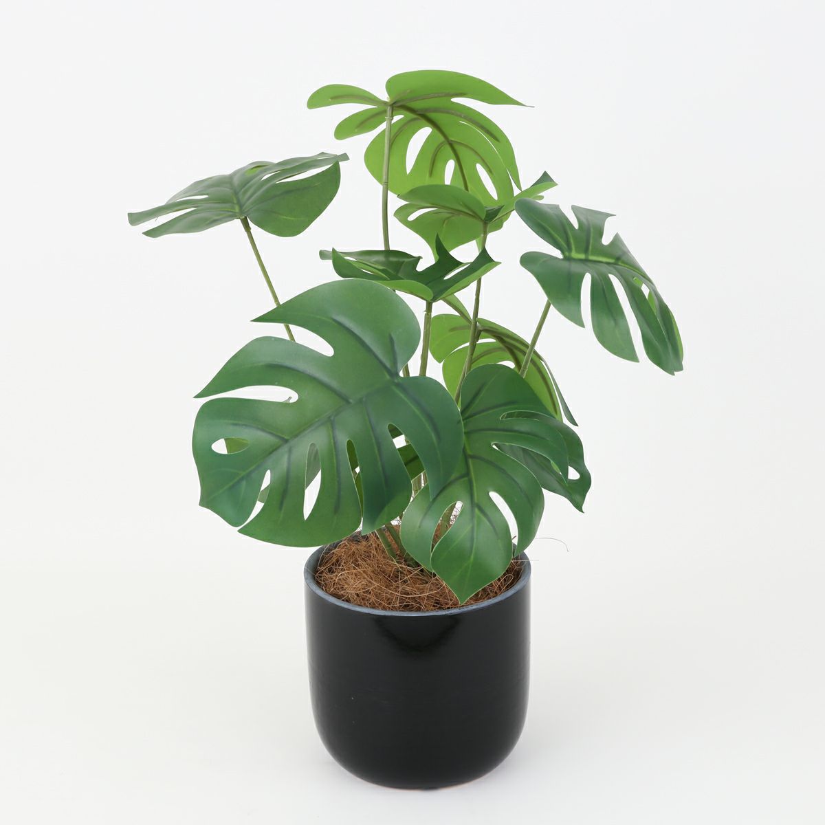 モンステラポット フェイクグリーン [93B]