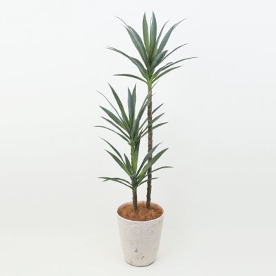 ユッカ フェイクグリーン [115] BA 高さ170cm 観葉植物 開店祝い 大型商品