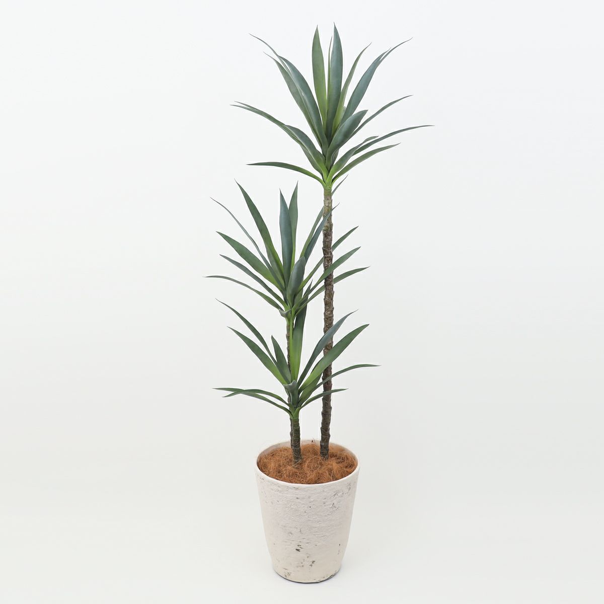 ユッカ フェイクグリーン [115]