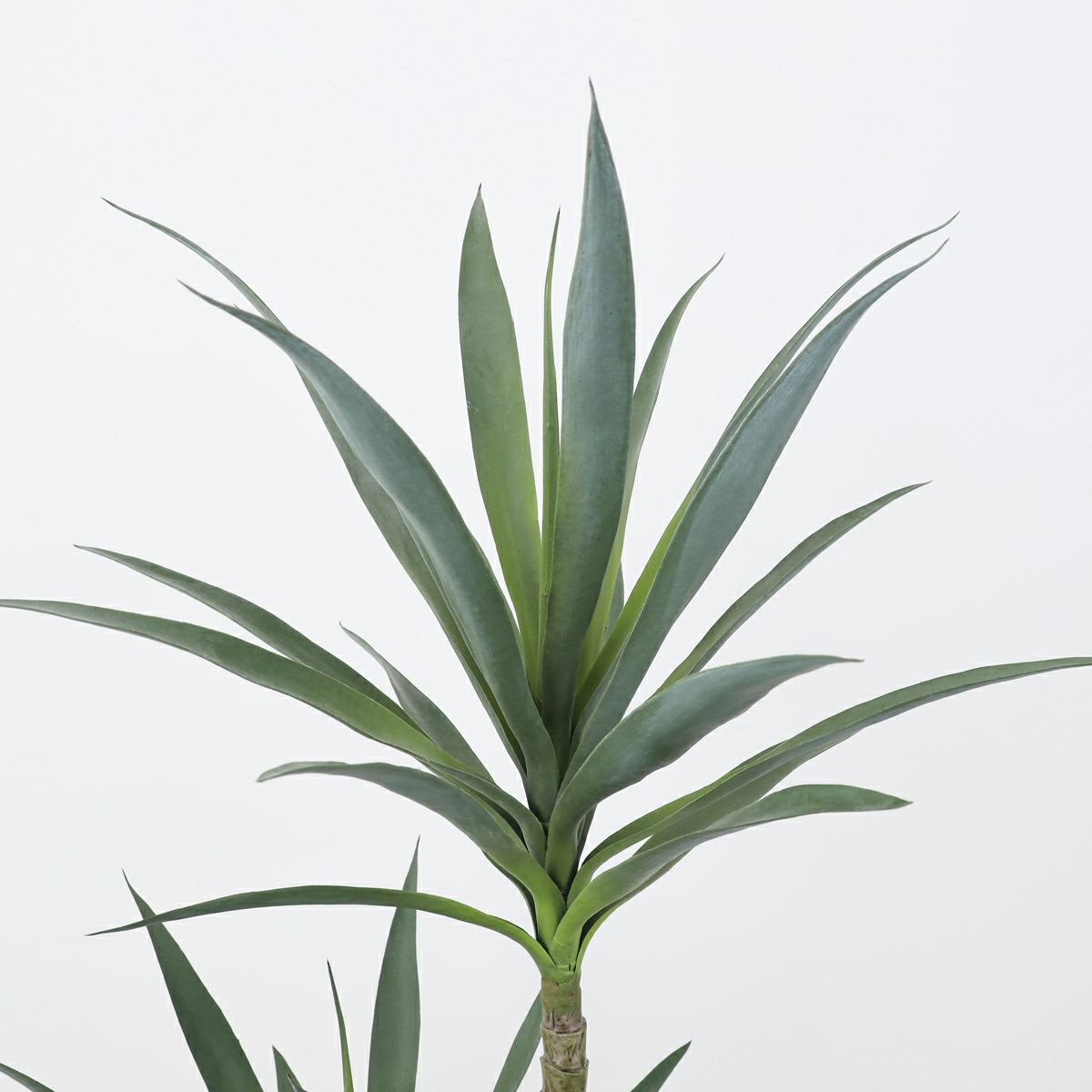 ユッカ フェイクグリーン [115]