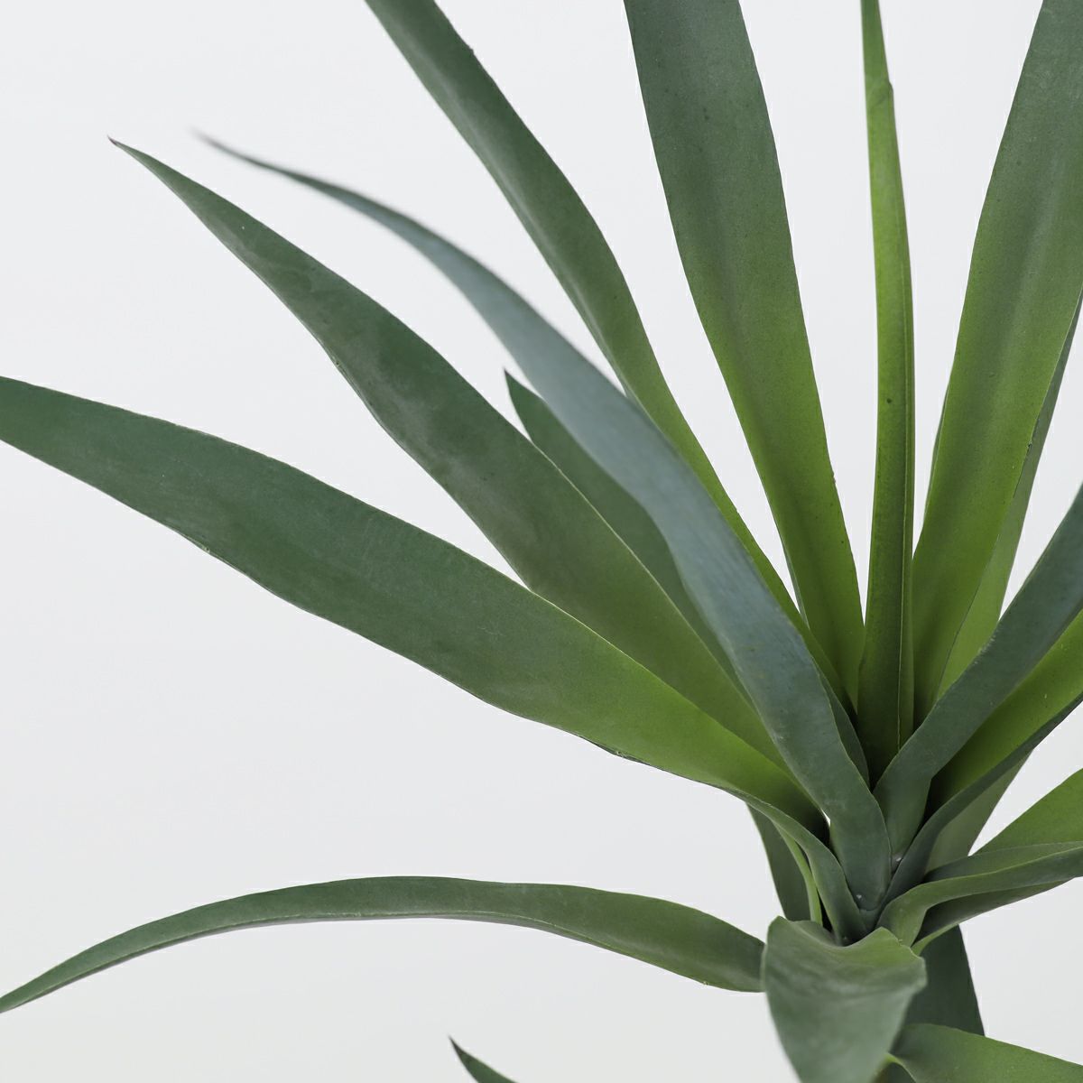 ユッカ フェイクグリーン [115]