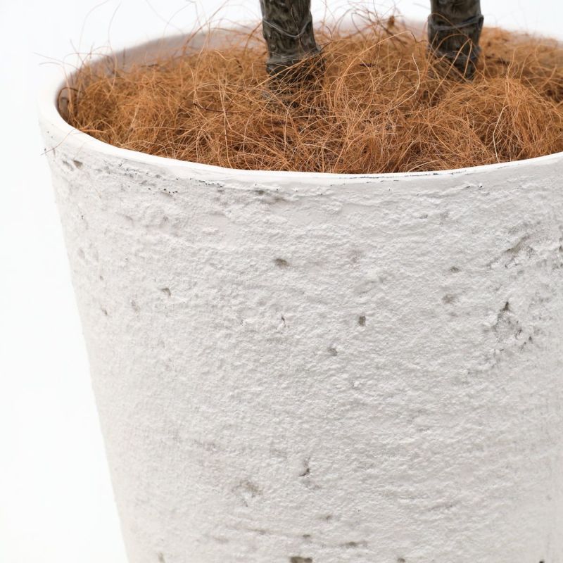 ユッカ フェイクグリーン [115]