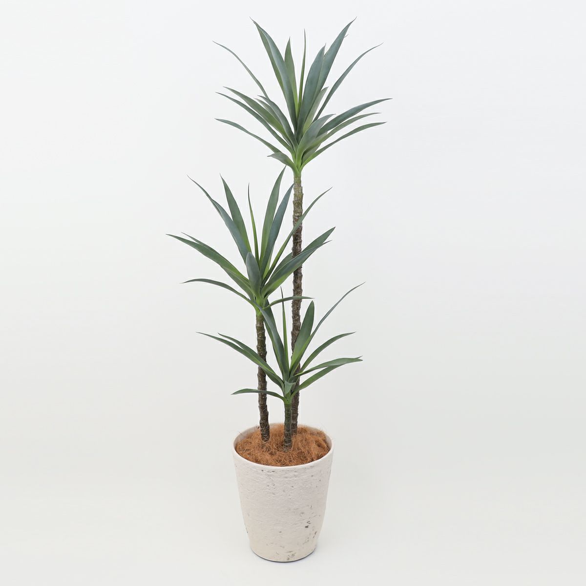 ユッカ フェイクグリーン [115]