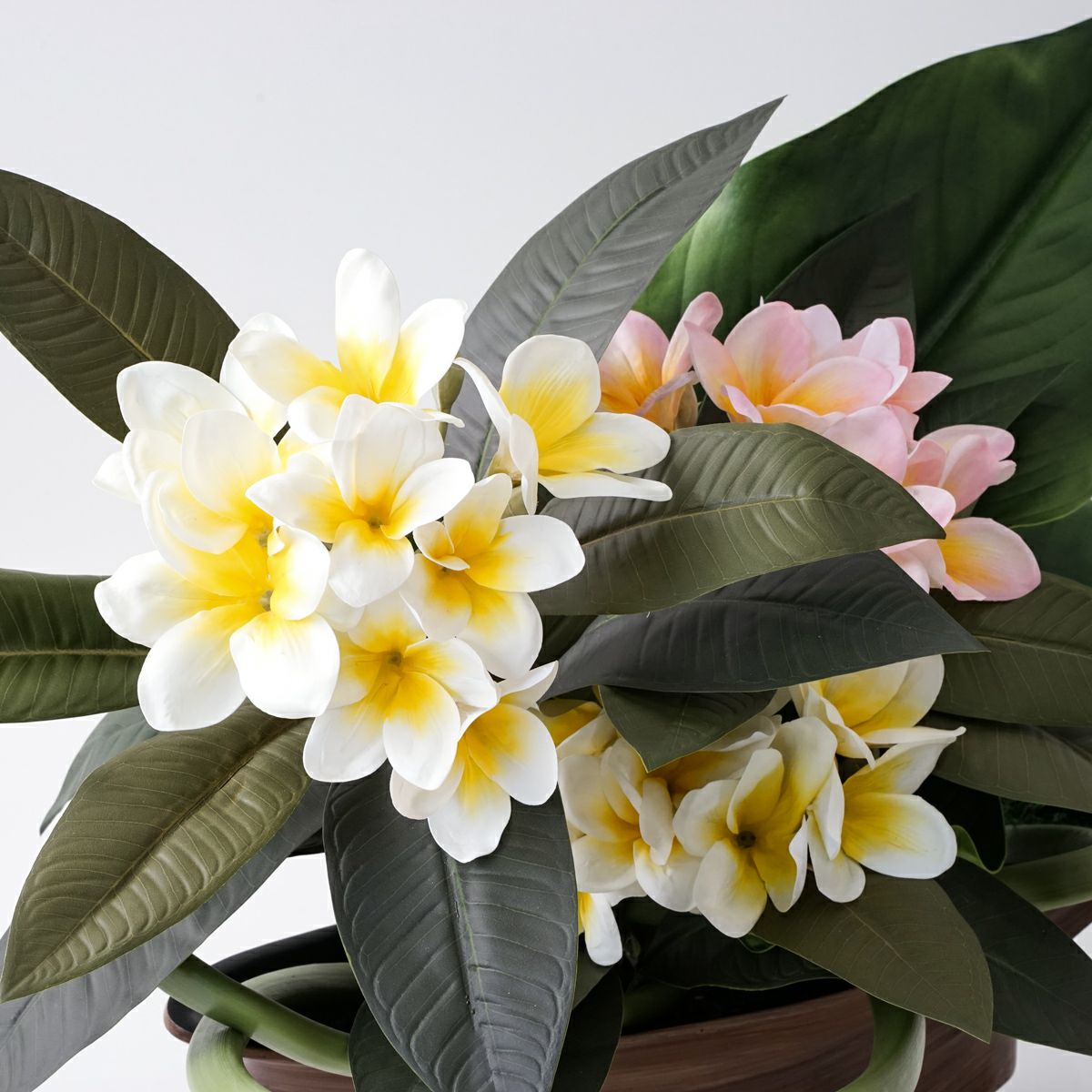 プルメリア アレンジメント [SM-149]