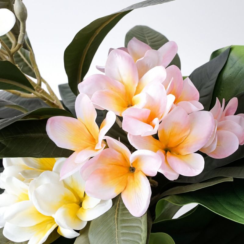 プルメリア アレンジメント [SM-149]