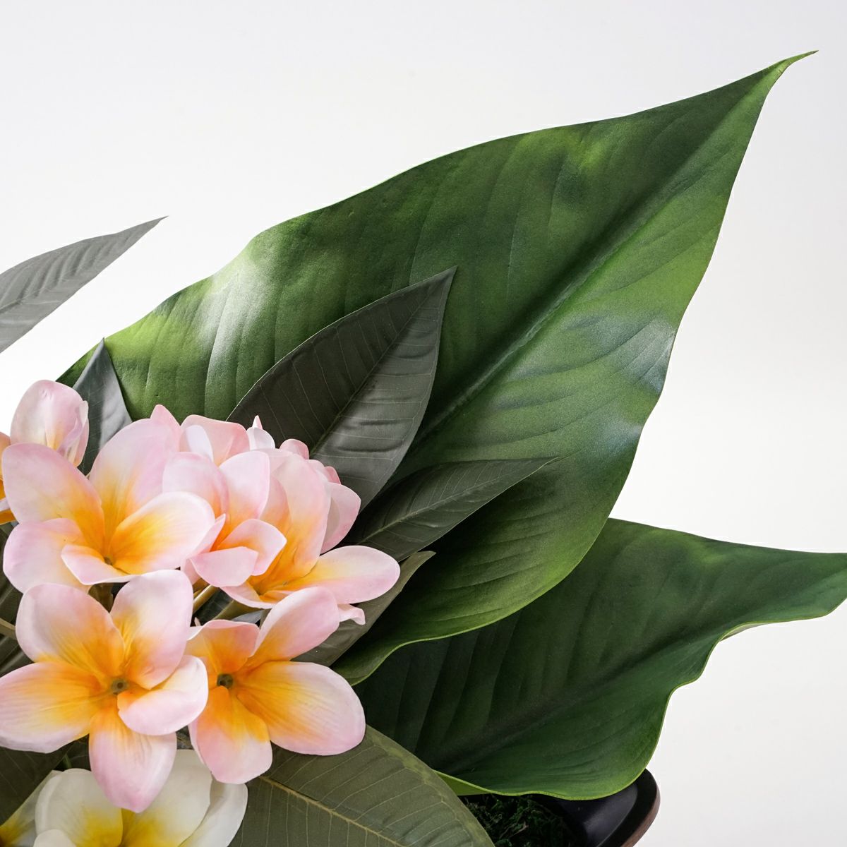 プルメリア アレンジメント [SM-149]