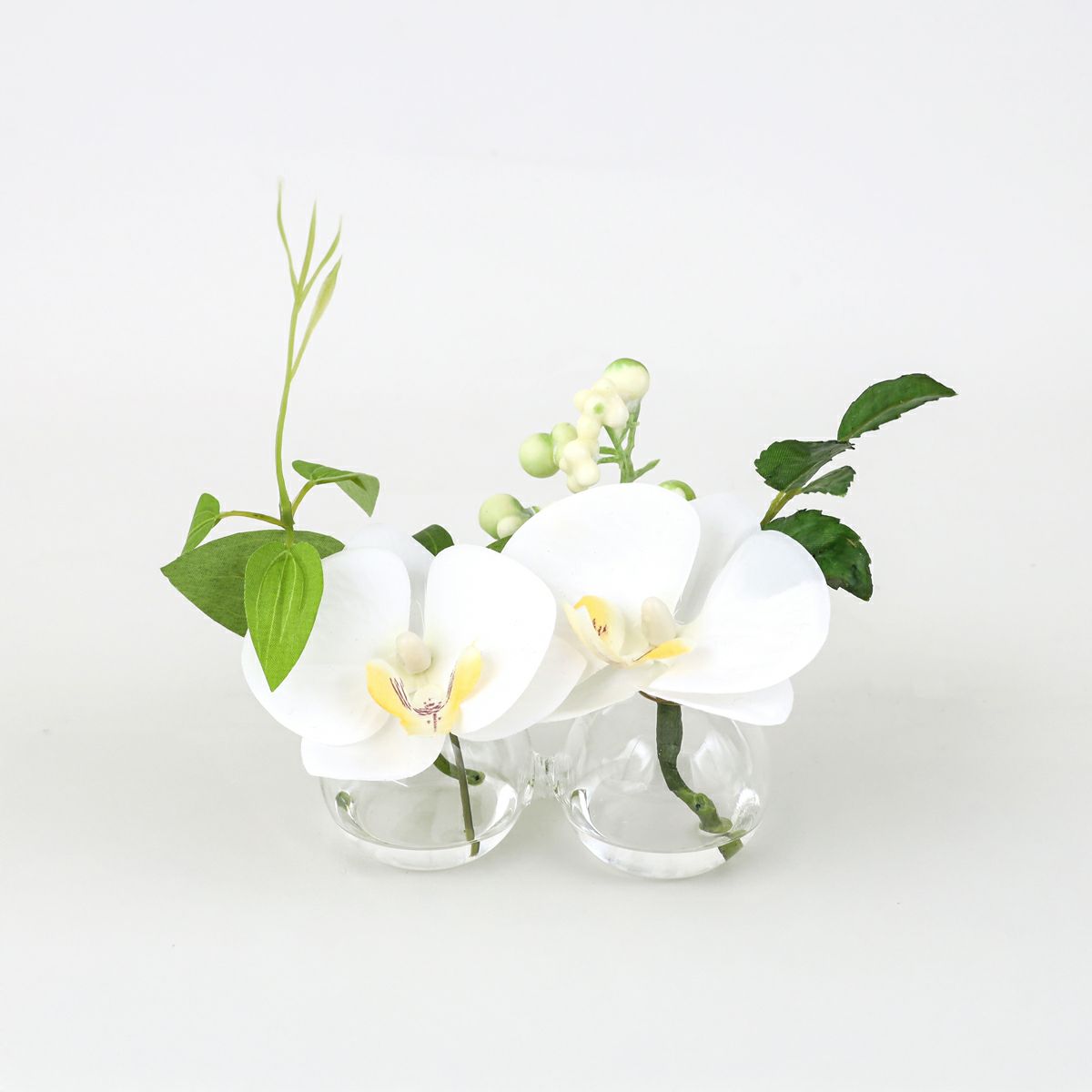 胡蝶蘭 マジックウォーター アレンジメント [01]