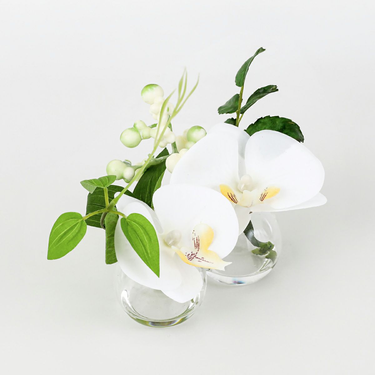 胡蝶蘭 マジックウォーター アレンジメント [01]