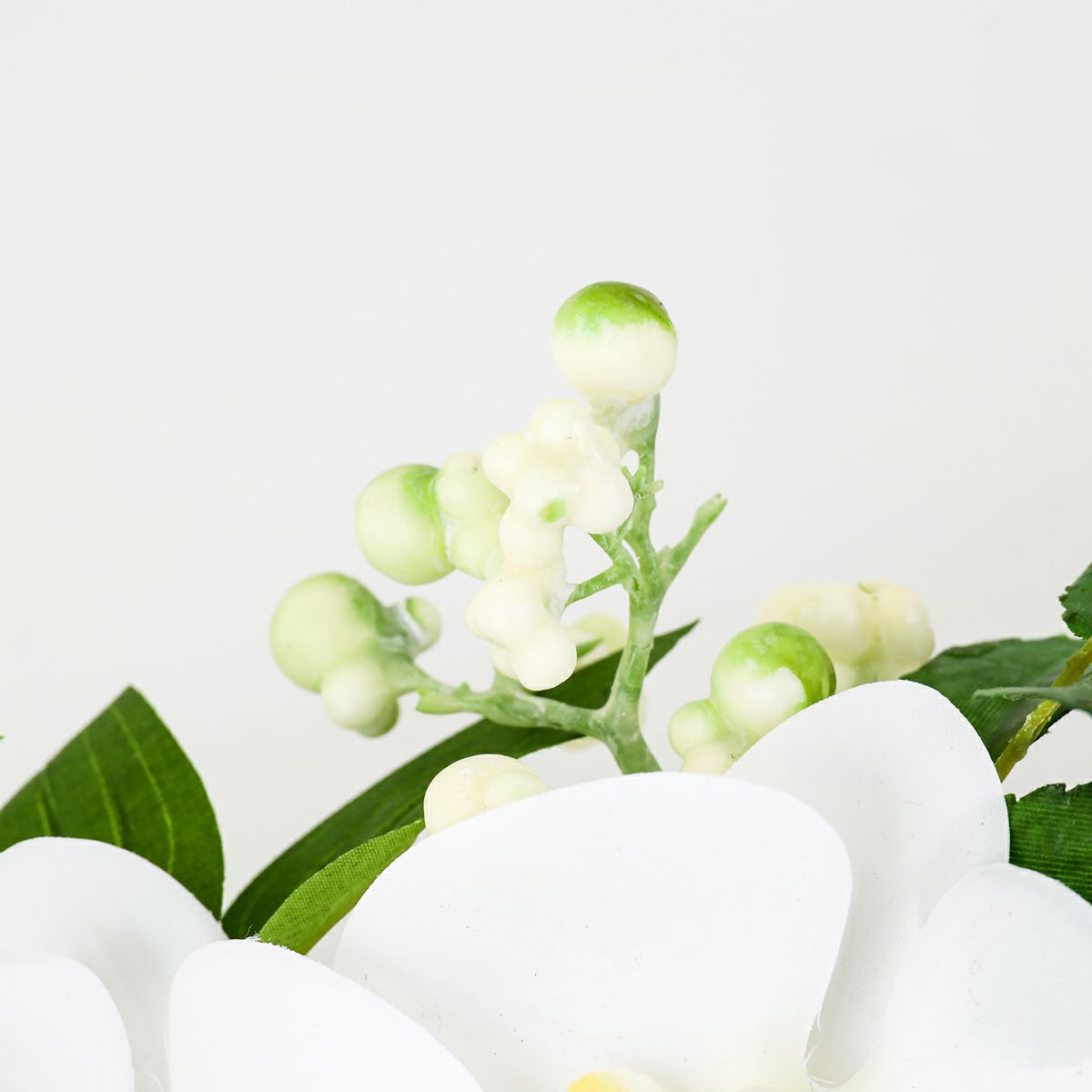 胡蝶蘭 マジックウォーター アレンジメント [01]