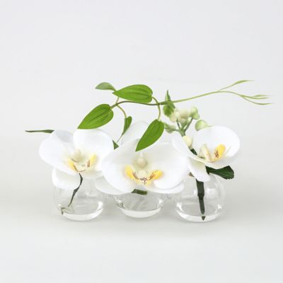 【10%OFF】【夏の贈り物】 胡蝶蘭 マジックウォーター アレンジメント [02] BA アーティフィシャルフラワー 造花