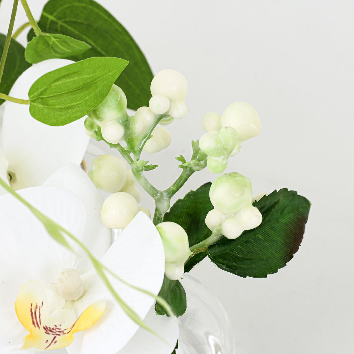 胡蝶蘭 マジックウォーター アレンジメント [02]