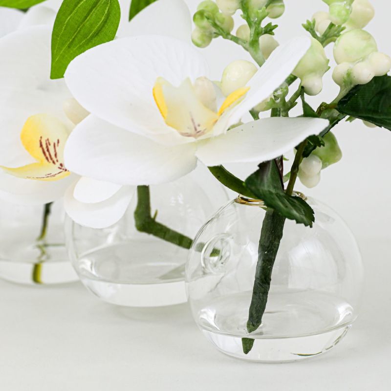 胡蝶蘭 マジックウォーター アレンジメント [02]