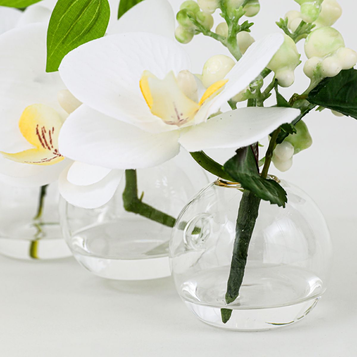 胡蝶蘭 マジックウォーター アレンジメント [02]