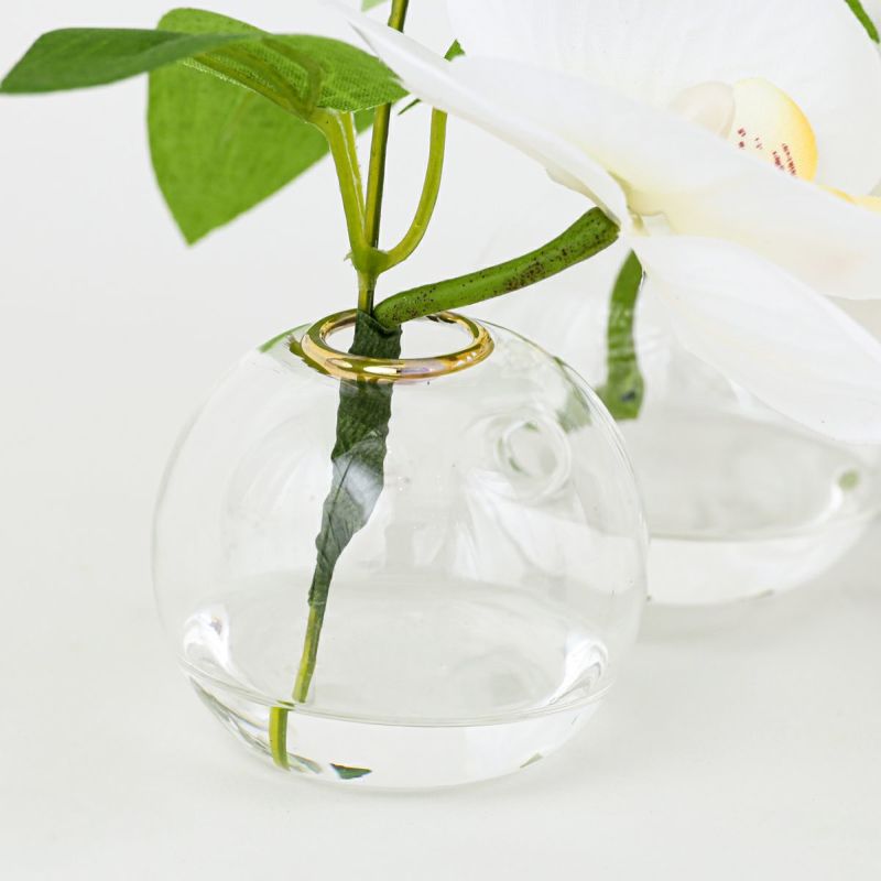 胡蝶蘭 マジックウォーター アレンジメント [02]