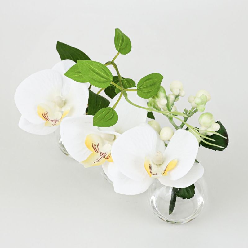 胡蝶蘭 マジックウォーター アレンジメント [02]