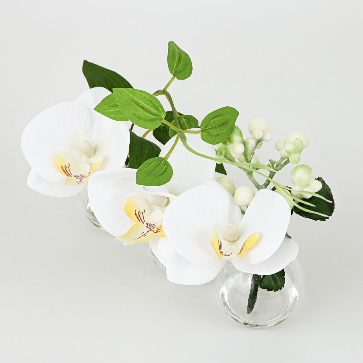 胡蝶蘭 マジックウォーター アレンジメント [02]