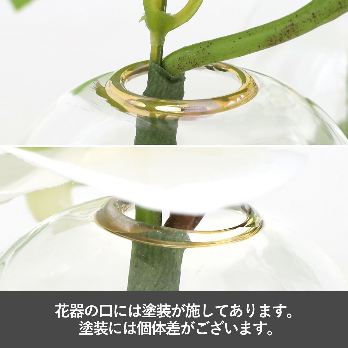 胡蝶蘭 マジックウォーター アレンジメント [02]